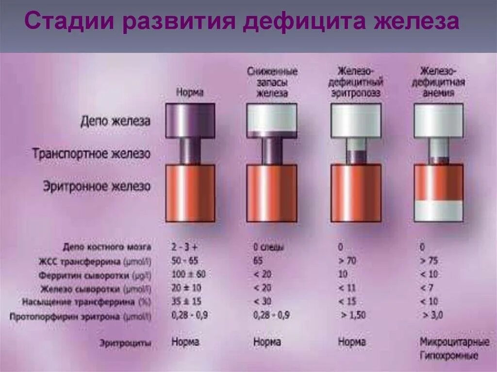 Нормы показателя ферритина и железа в. Норма ферритина и сывороточного железа в крови. Ферритин 31.9. Ферритин в норме и железо в норме. Изменение железа в крови