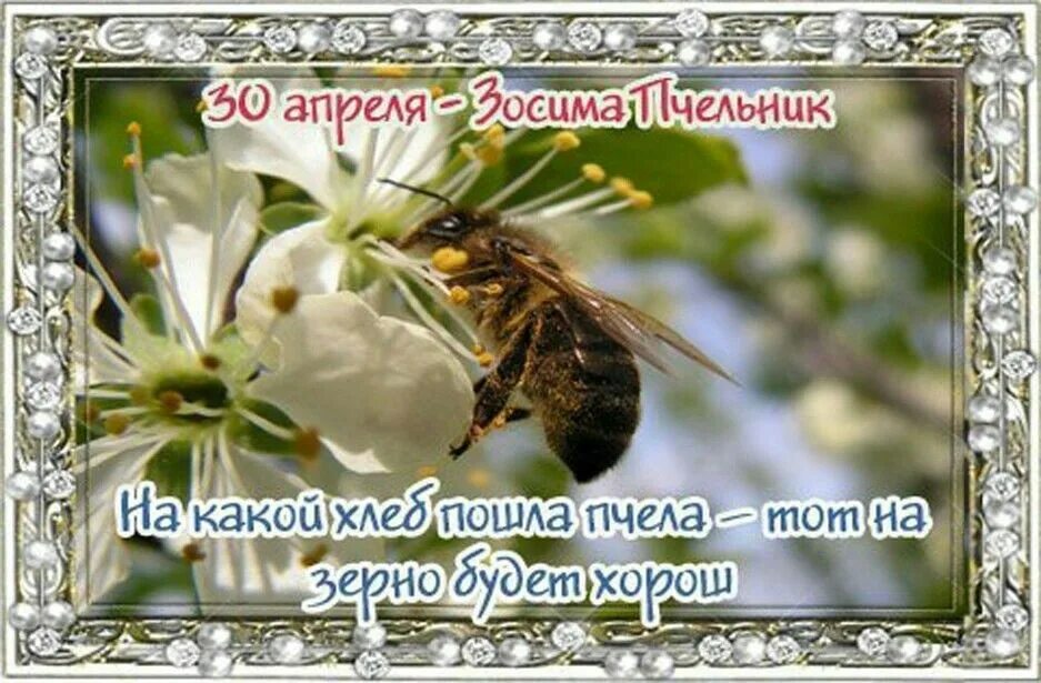 17 апреля какой сегодня день. 17 апреля какой сегодня день