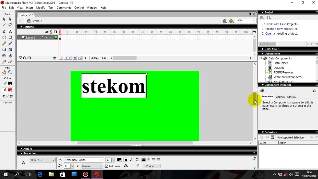 Macromedia flash mx. Macromedia flash mx