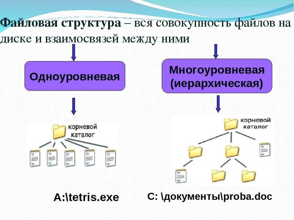 Файлы и файловые структуры 7 класс. Файловая структура диска Информатика 7. Файловые структуры 7 класс Информатика. Информатика 7 класс файлы и файловые структуры. Файловые структуры информатика 7 класс