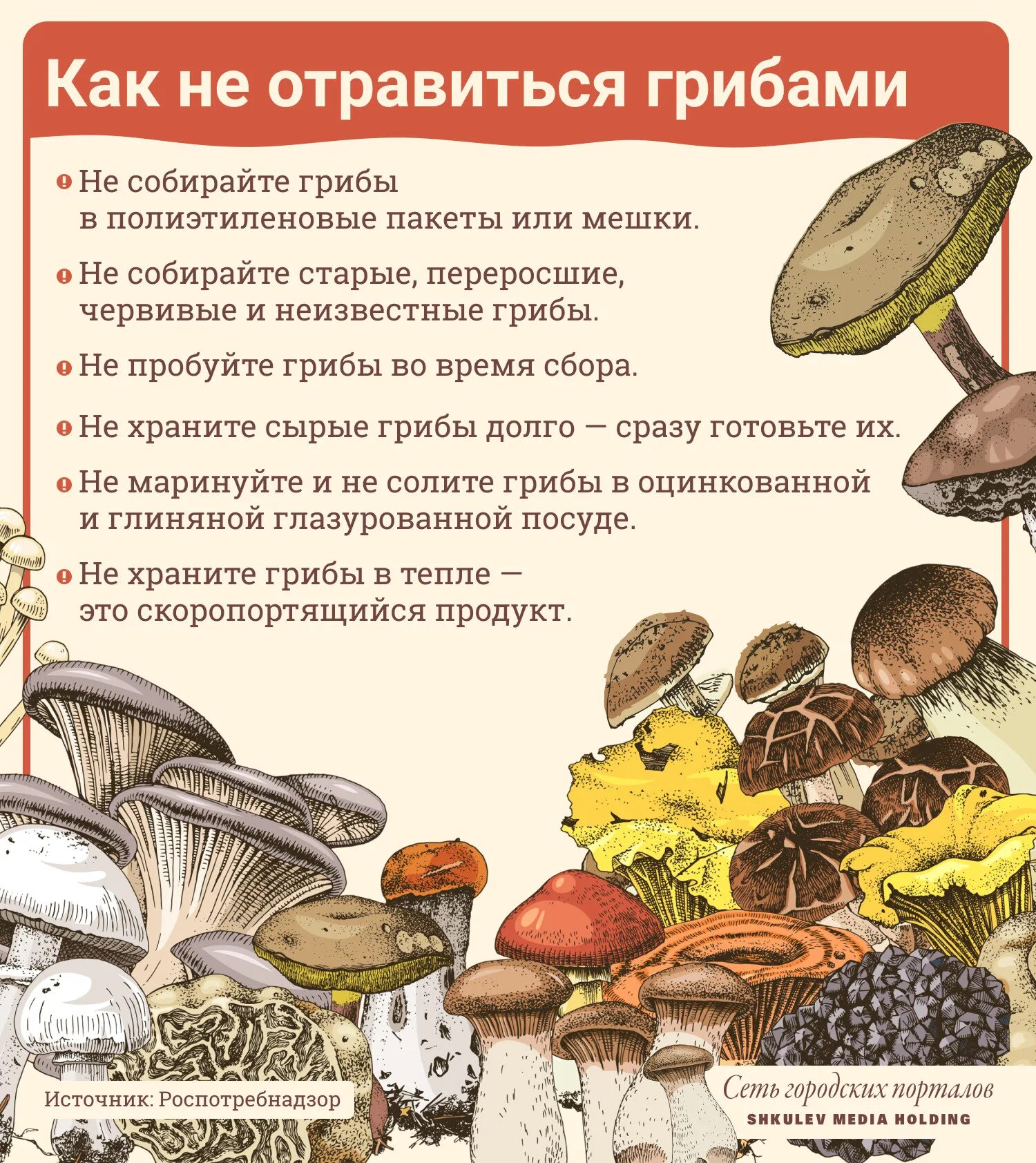 Почему грибы опасны. Полезные и вредные грибы для человека. Как не отравиться грибами. Вредные грибы. Всемирный день грибника 3 октября.