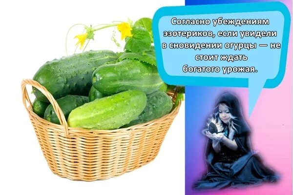 Огурцы свежие домашние. Салатные огурцы. К чему снится огурец свежий женщине видеть. К чему снится огурец свежий женщине видеть. К чему снится огурец свежий женщине видеть.