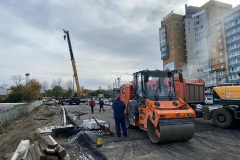 Дорожник слюдянка