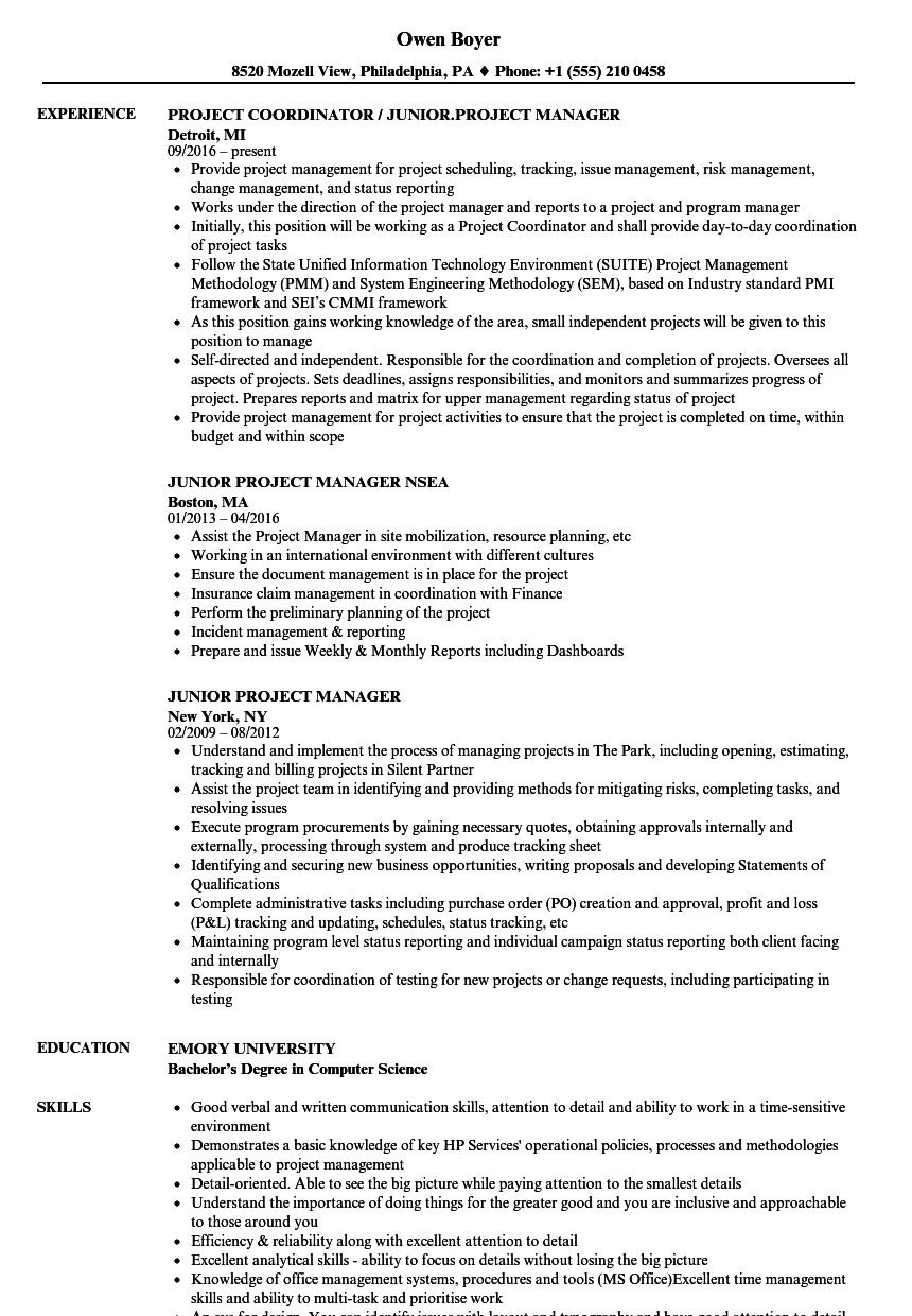 Junior project manager. Junior project manager resume.