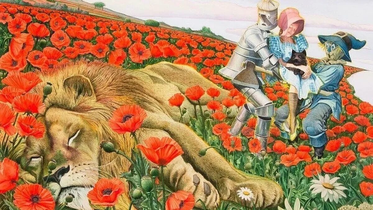 Поля чародеев