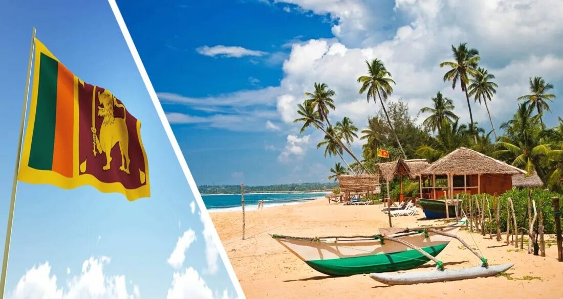 Шри ланка туристы 2024. Шри Ланка для туризма 2022. Шри Ланка туристы. Шри Ланка для туристов 2021. Шри Ланка для туристов 2022.