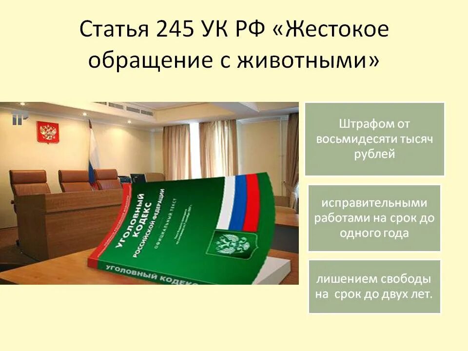 Статья УК жестокое обращение с животными. Статья 245 УК РФ жестокое обращение с животными. 245 Статья УК РФ. Статья 245 уголовного кодекса.