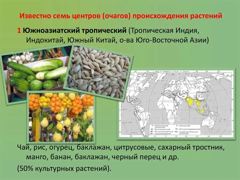 Растительное происхождение биологическая. Южноазиатский тропический центр происхождения растений. Южноазиатский центр происхождения культурных растений. Юго Западно азиатский центр происхождения культурных растений. Юго Западный центр происхождения культурных растений.