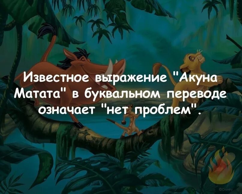 Как переводится акуна. Акуна Матата перевод. Hakuna Matata перевод. Акуна Матата фразы. Акуна Матата перевод фразы.