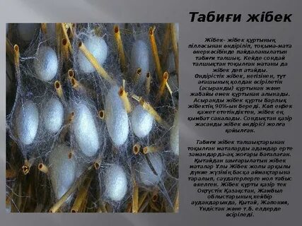 Әскери комиссариаттың медициналық сараптамасында жалаңаш күйеу