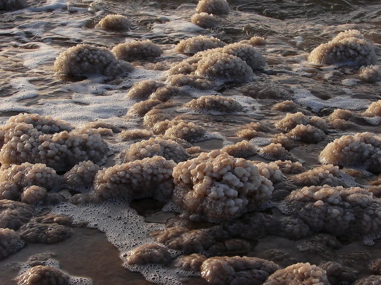 Гибнущее море. Мертвое море высыхает. Дно мертвого моря. Мертвое море пересохло. Пересохшее Морское дно.