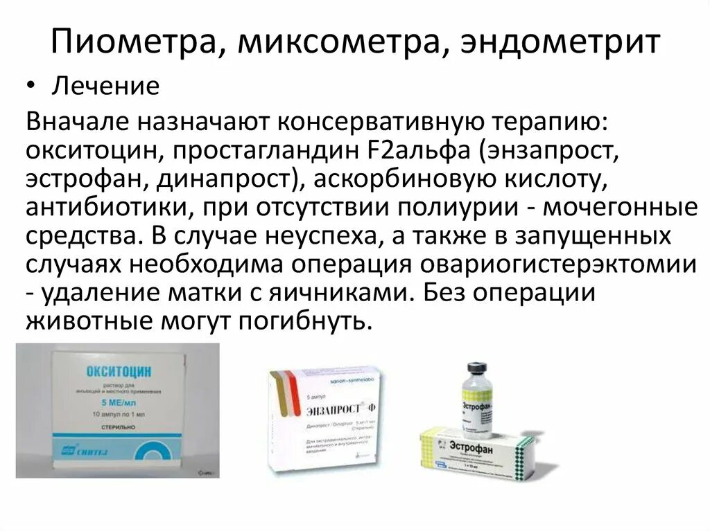 Антибиотики при эндометрите. Антибиотики при эндометрите у женщин. Антибактериальная терапия при эндометрите. Эндометрит антибиотики схема.