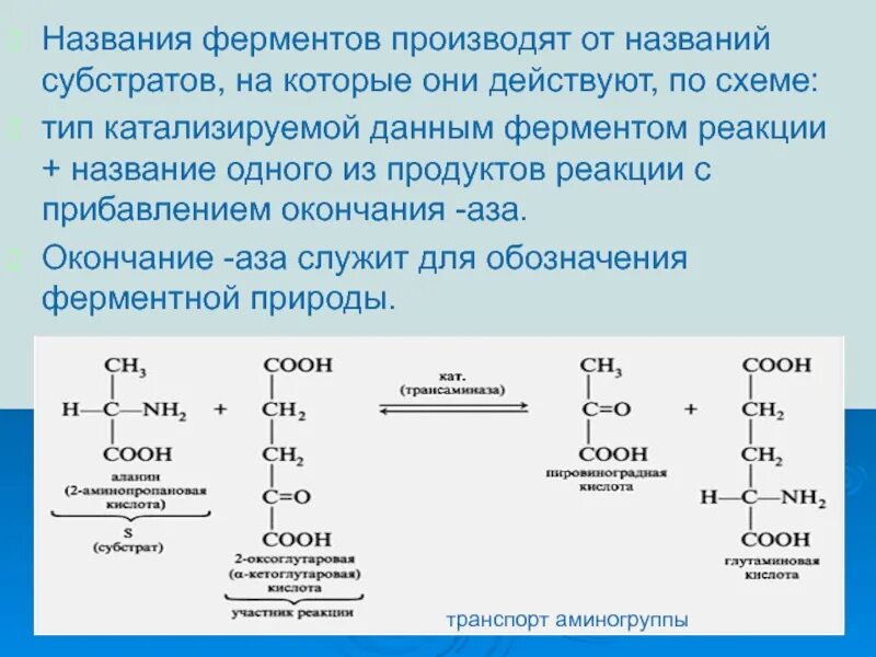 Ферменты необходимы для синтеза. Общая схема работы фермента. Катализируемые реакции ферментов. Ферменты названия. Субстрат и название ферментов.