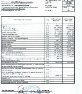 Отчетность акционерам