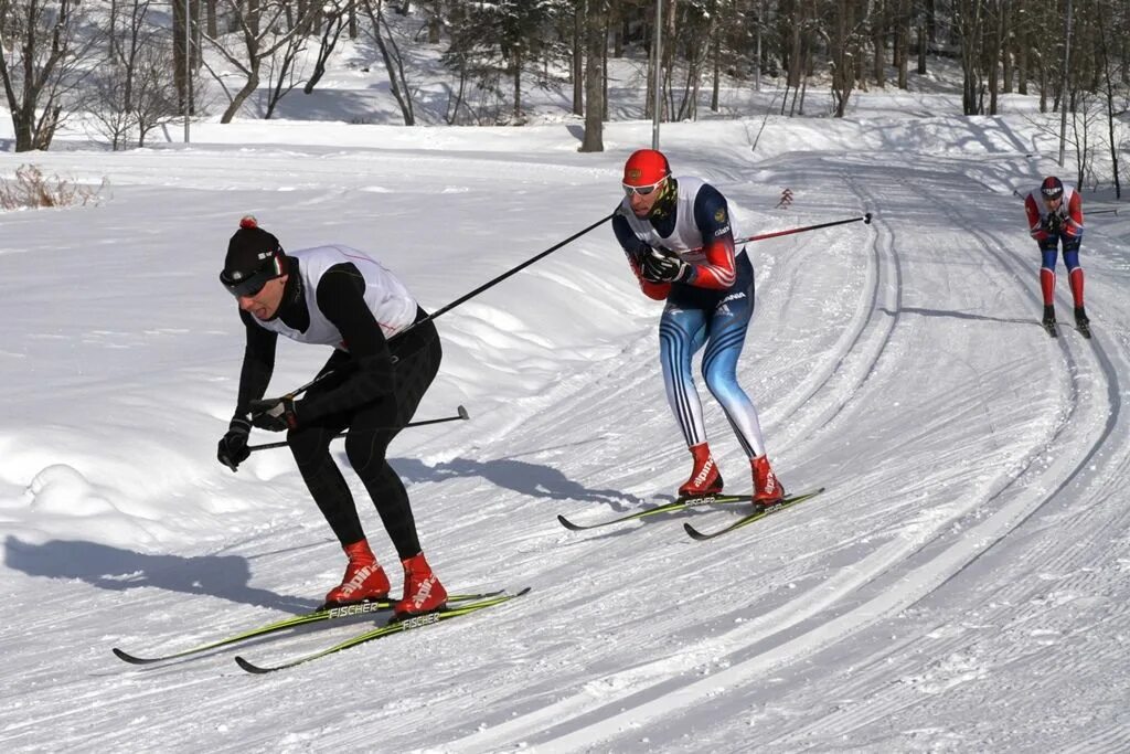 Лыжные гонки классический стиль. Лыжные гонки классический ход. Свободный стиль лыжи. Классический ход на лыжах. Лыжники классический ход