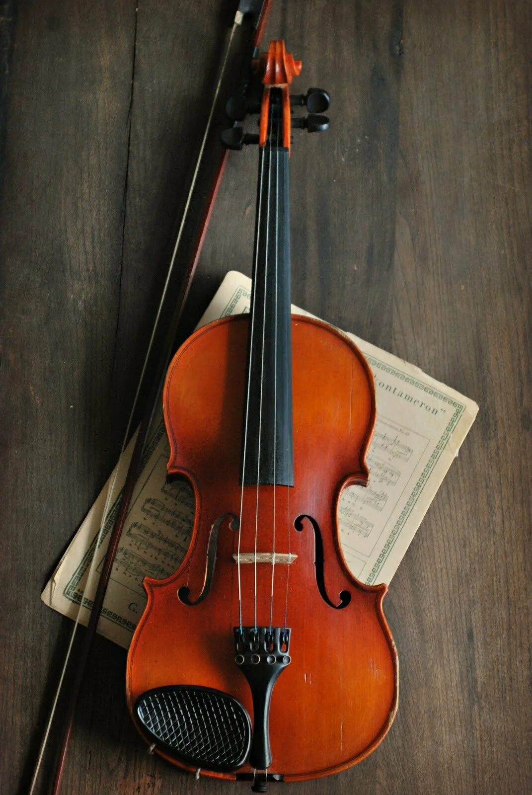 Violin скрипка. Виолин. Скрипка. Скрик. Красивая скрипка.