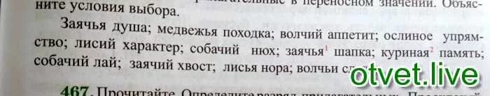 Волчий в переносном значении. Волчий в переносном значении