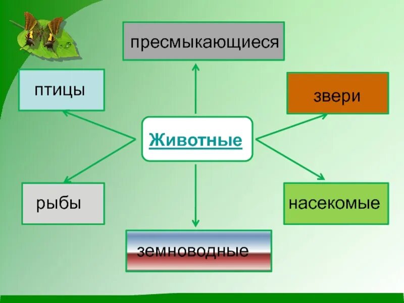 Презентация окружающий мир разнообразие животных. Разнообразие животных 2 класс. открытый урок разнообразие животных. окружающий мир разнообразие животных. животные делятся на насекомые.