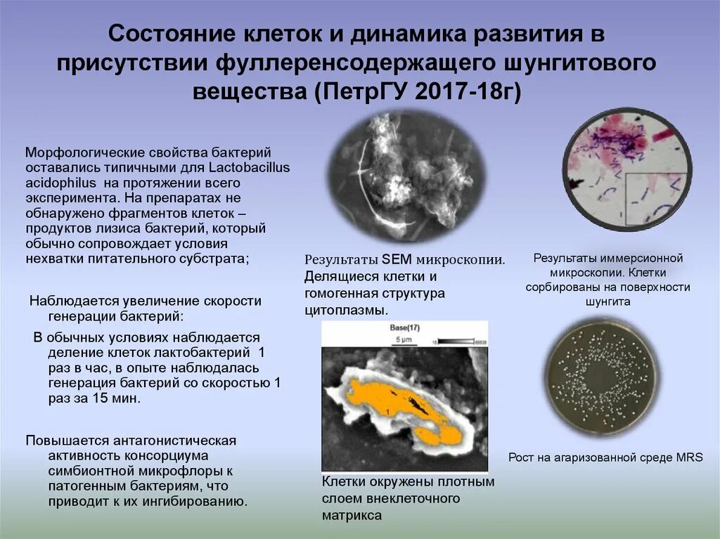 Физическое состояние клетки. Критическое состояние клетка. Естественное состояние клетки. Современное состояние клетки. Обратимость дифференцированного состояния клеток.