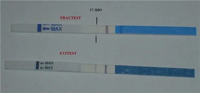 Почему вижу полоски. Тест на беременность вторая полоска еле видна. Тест на беременность 2 poloska. Если на тесте еле видная вторая полоска. Тест 2 полоски вторую еле видно.