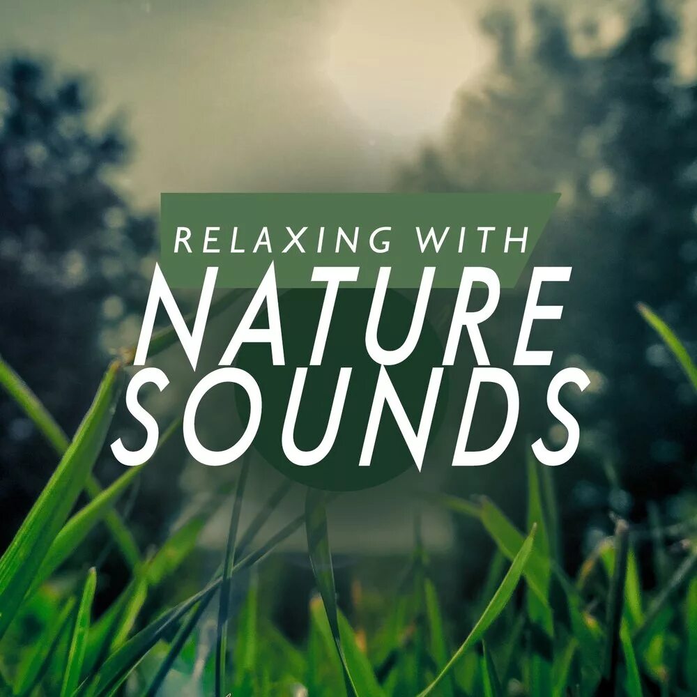 Natural sounds. Sleep sounds of nature. Natural sounds. Sounds of nature. Relaxing sound.