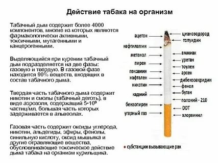 За сколько выветривается сигарета изо рта