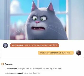 Что означает рандом
