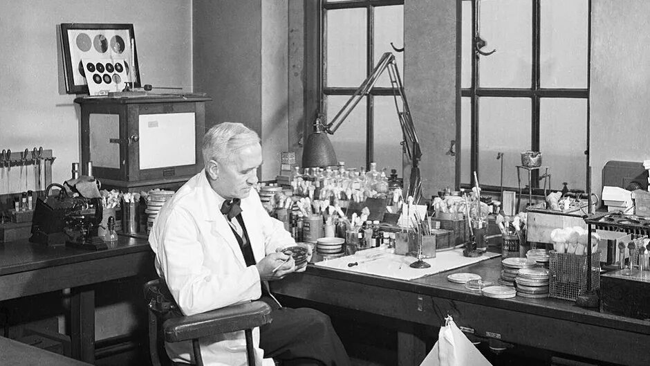 Alexander fleming discovered penicillin. Бартоломео Гозио пенициллин.