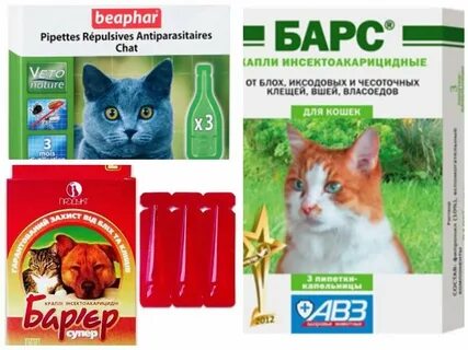 Как часто обрабатывать кошку
