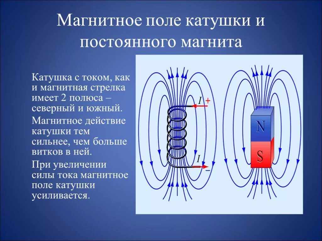 Линии магнитной индукции катушки с током. Магнитное поле в проводнике с током полюса. Линии магнитной индукции в катушке. Линии магнитной индукции поля катушки с током. Магнитное поле какая буква