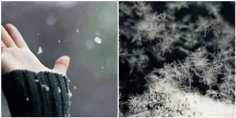 Снег на ладони мои упал слушать