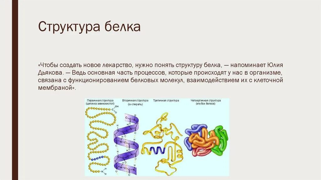 Структура белка тест. Структуры белка. Структура белка в волосе. Строение белка волоса. 3 Структура белка.