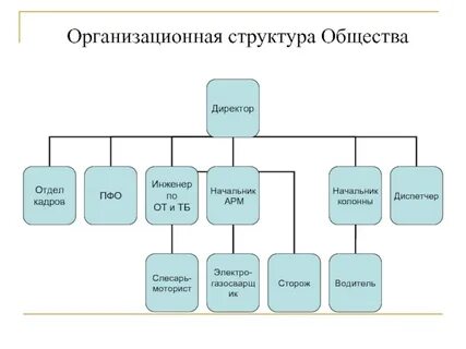 Организационная структура общества