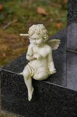 Angels welcome
