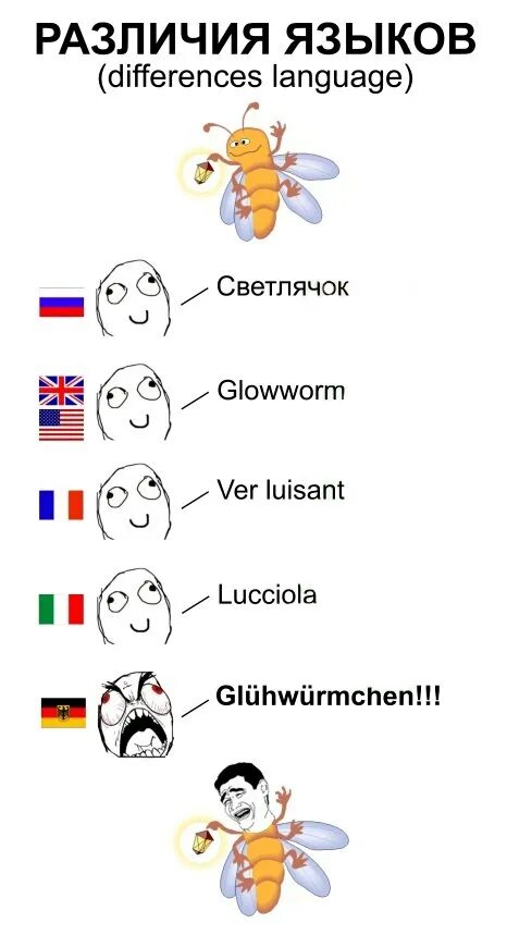 Нет по немецки. Смешной немецкий язык. Бабочка по немецки. Мемы про немецкий язык. Бабочка на разных языках.