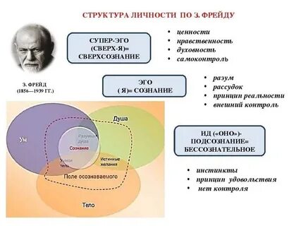 Структурные компоненты личности по фрейду