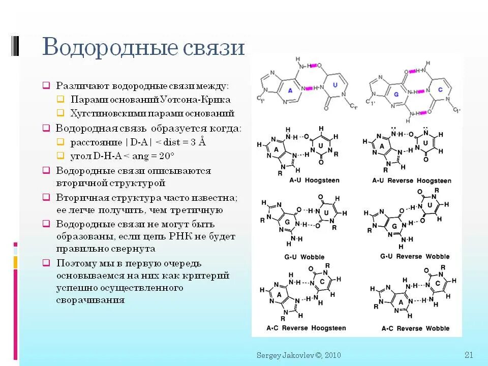 Двойная водородная связь. Водородные связи в РНК. Водородные связи в структуре РНК. Вторичная структура РНК водородные связи. Образование водородной связи.