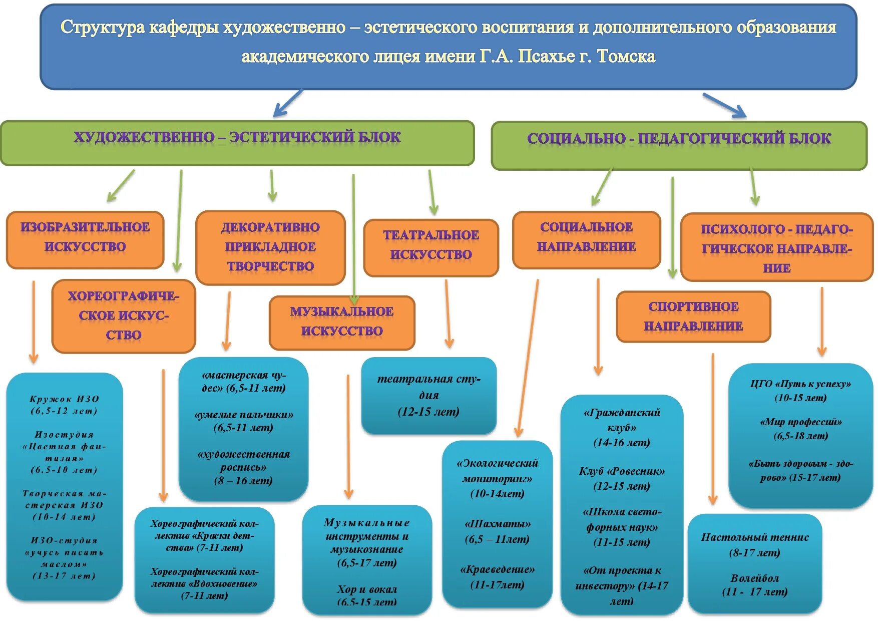 Виды кафедры. Структура кафедры. Структура кафедры схема. Структура кафедры вуза. Организационная структура кафедры вуза.