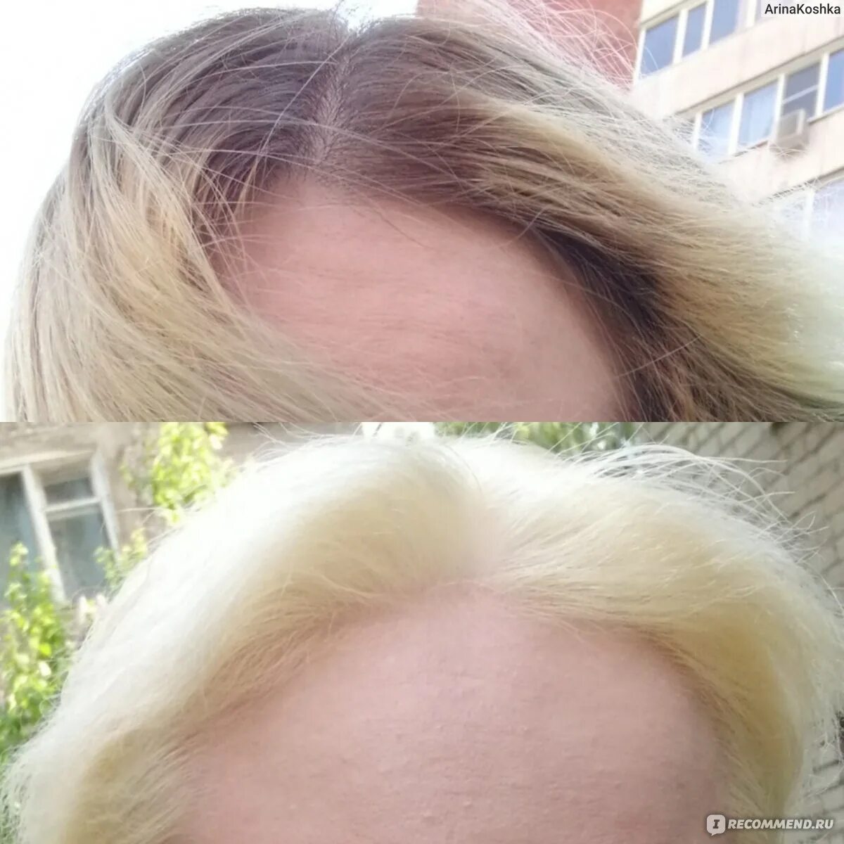 Волосы после осветления порошком. Обесцвечивание порошком до и после. Осветление волос порошком до и после. Осветляющая пудра для волос. Выпали волосы после осветления