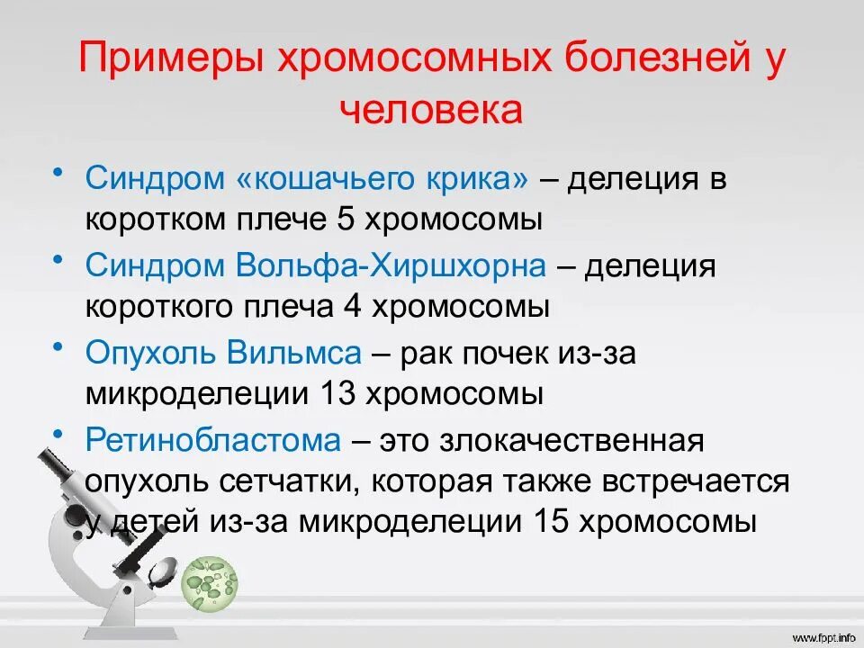 Синдромы человека. Хромосомные болезни. Хромосомные заболевания примеры. Хромосомные болезни человека примеры. Хромосомные мутации примеры болезней.