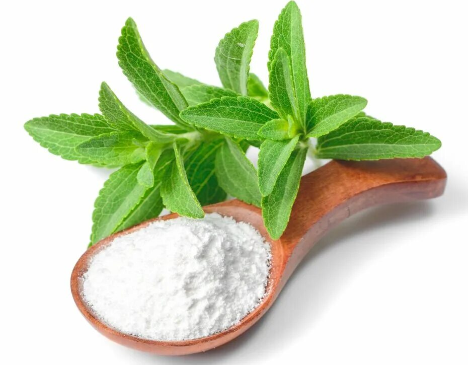 Stevia rebaudiana. Стевия медовая. Стевия сахарозаменитель растение. Стевиозид Артемизия.