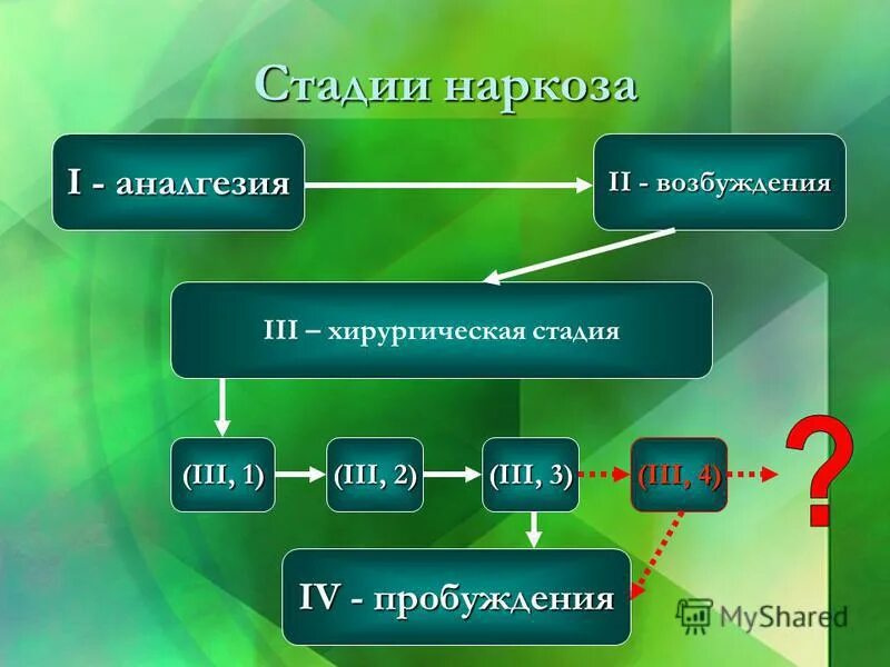 Хирургическая стадия наркоза