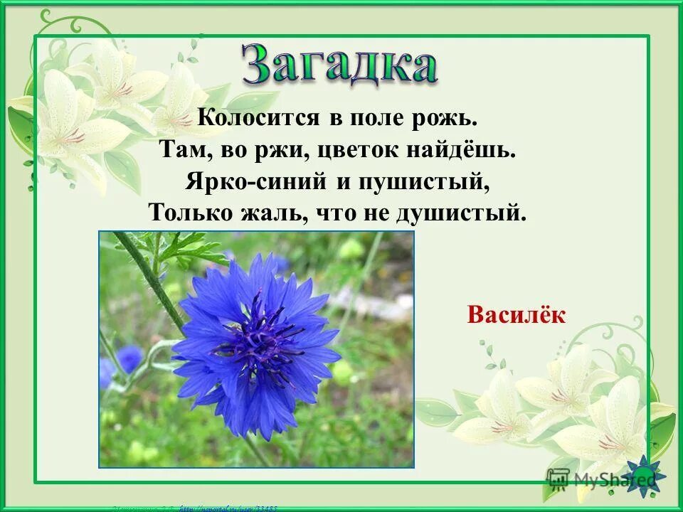 Ответ на загадку по синему небу