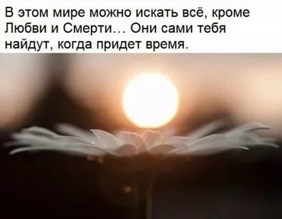 Любовь не ищут она сама приходит