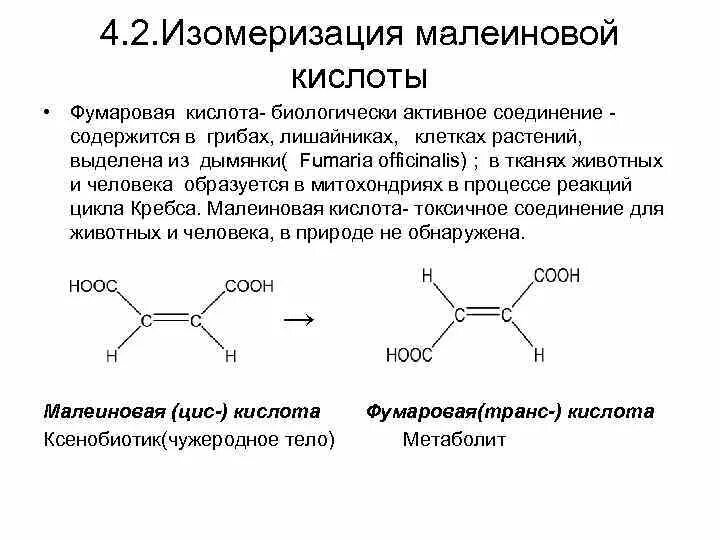 Реакция организма на кислоту. Изомеризация малеиновой кислоты. Малеиновая кислота биороль. Фумаровая кислота формула в организме. Фумаровая кислота биороль.