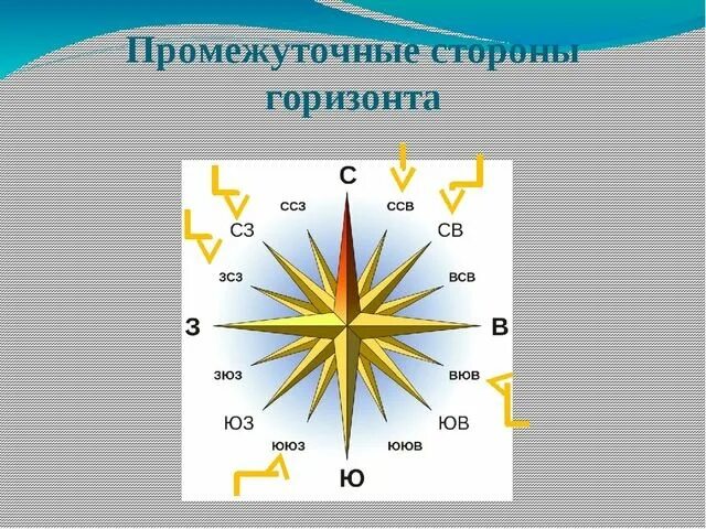 Какая сторона горизонта показана. Стороны горизонта. Основные и промежуточные стороны света. Основные и промежуточные стороны горизонта. Горизонт стороны горизонта.