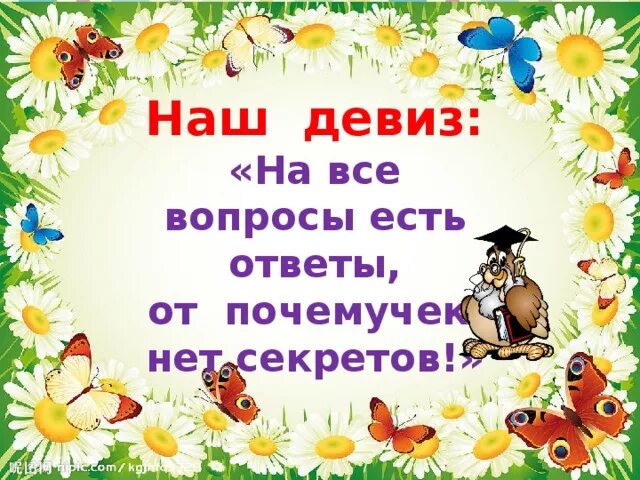 Визитка группы почемучки. Группа почемучки. Девиз для начальных классов. Девиз команды почемучки в детском саду. Команда почемучки.