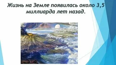 Жизнь на земле возникла первоначально на суше