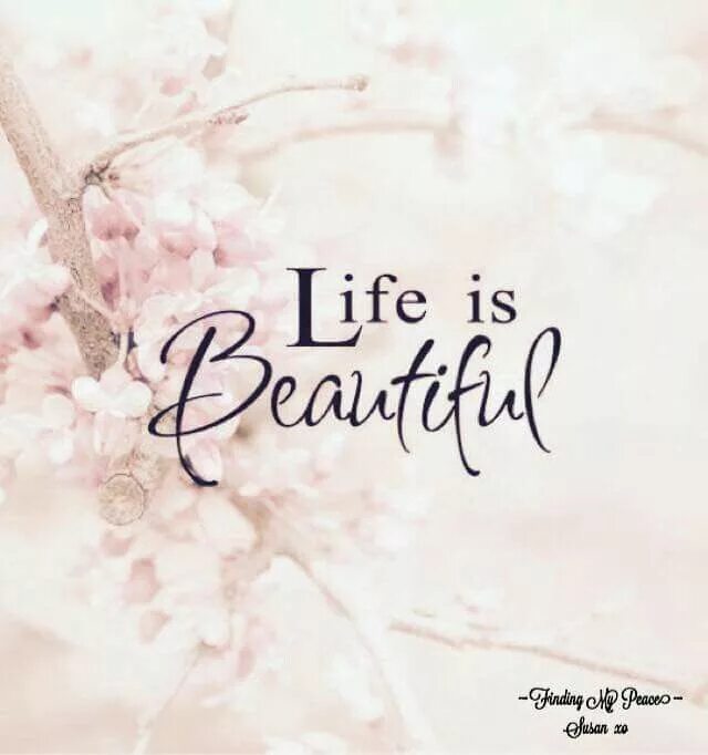 Life is beauty. Обои на телефон Life is beautiful. Лайф из бьютифул. Beautiful Life надпись. Beautiful надпись.