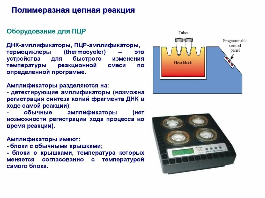 Метод детекции пцр. . полимеразная цепная реакция (пцр). этапы. прибор для проведения пцр теста. прибор для проведения полимеразной цепной реакции. пцр тест принцип действия.